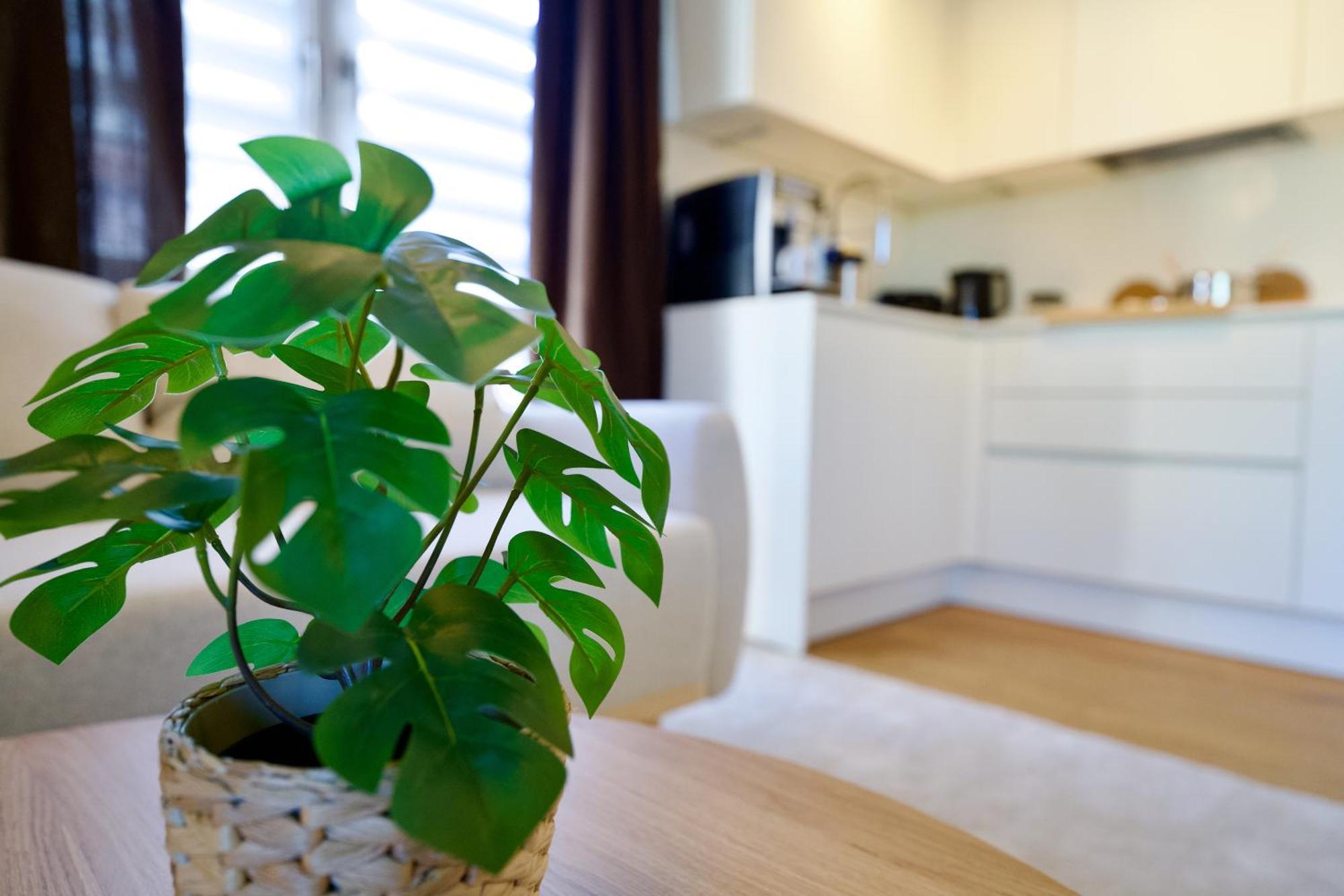 츠비카우 Edler Wohnraum Schwanenteich-Oase Mit Balkon, Kaffeevollautomat, Lift & Parkplatz 아파트 외부 사진